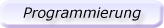 Programmierung