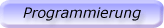 Programmierung